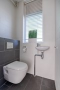 Lelieberg284708lkRoosendaalNL -06.jpg